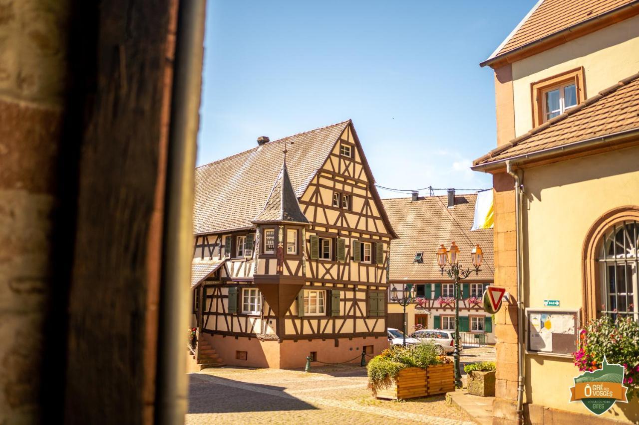 Gite O Gre Des Vosges 5 Etoiles Oberbronn, Vosges Du Nord Exteriér fotografie
