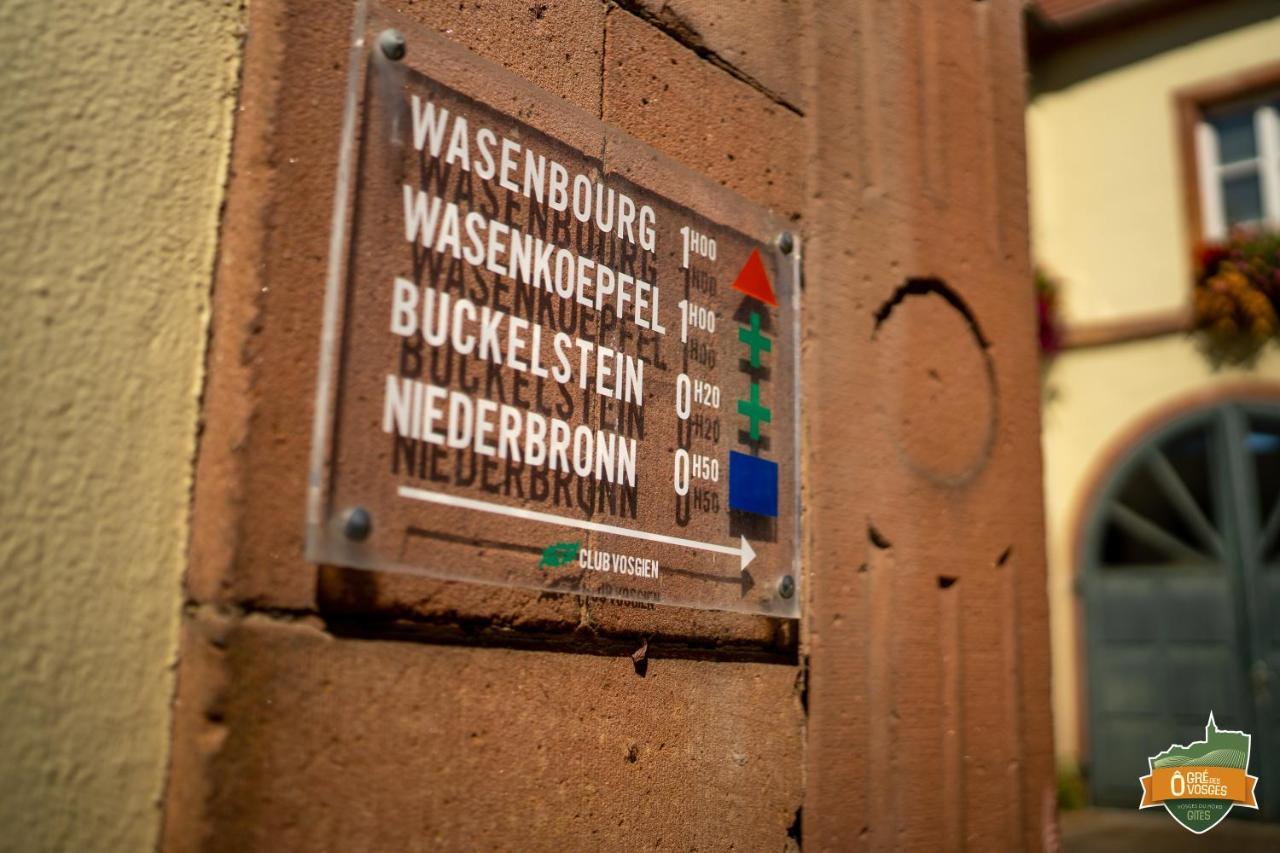 Gite O Gre Des Vosges 5 Etoiles Oberbronn, Vosges Du Nord Exteriér fotografie