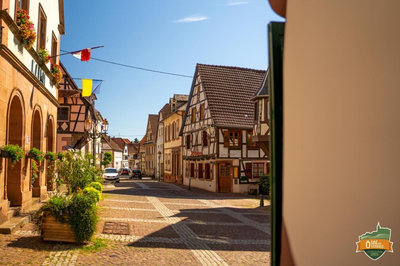 Gite O Gre Des Vosges 5 Etoiles Oberbronn, Vosges Du Nord Exteriér fotografie