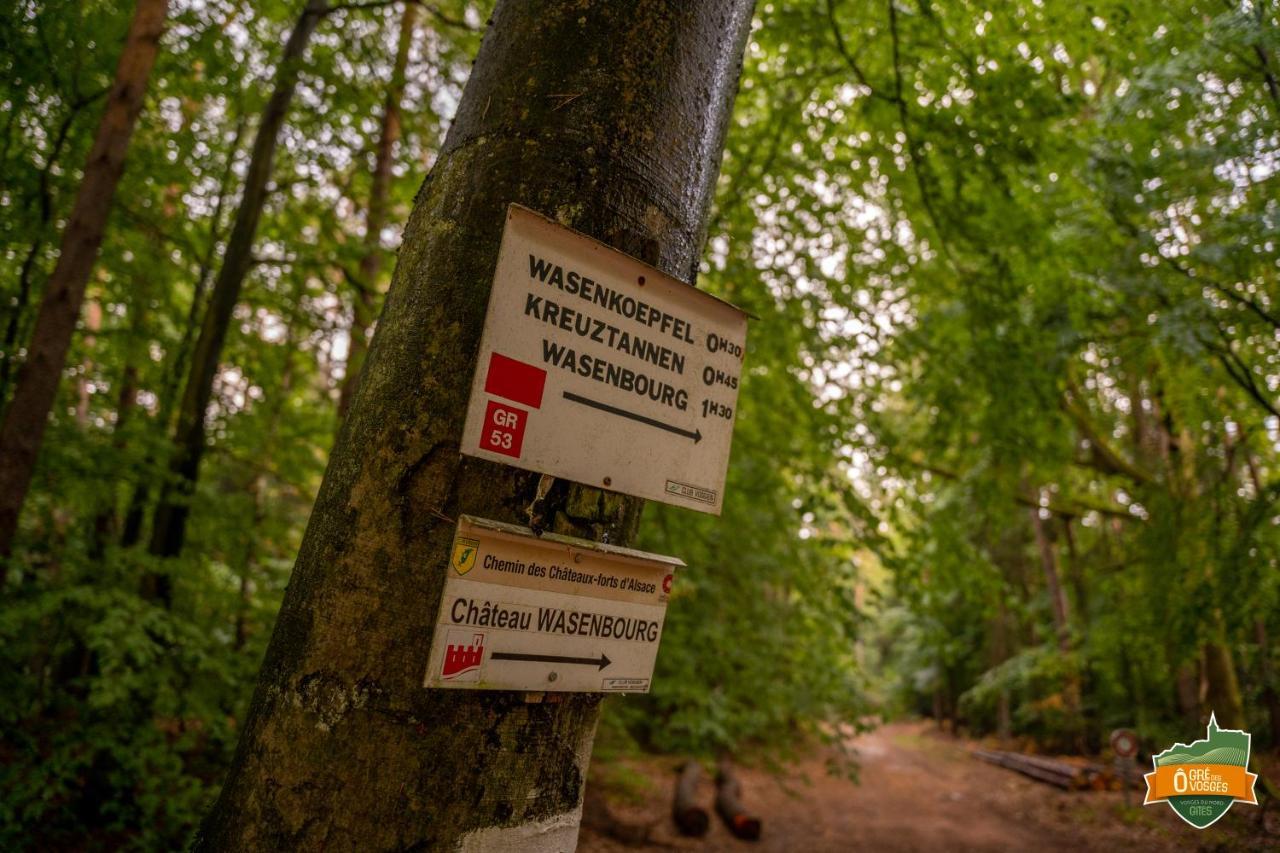 Gite O Gre Des Vosges 5 Etoiles Oberbronn, Vosges Du Nord Exteriér fotografie