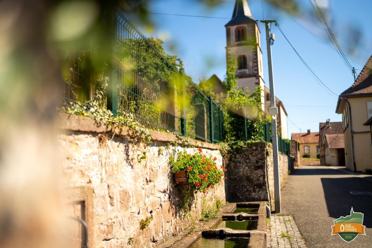 Gite O Gre Des Vosges 5 Etoiles Oberbronn, Vosges Du Nord Exteriér fotografie